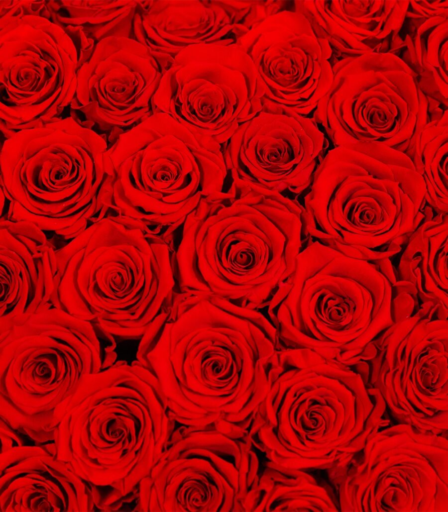 Floraria La Vie en Rose 173
