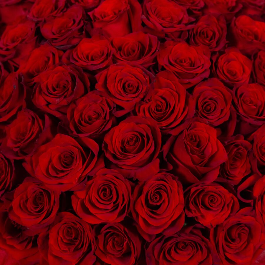 Floraria La Vie en Rose 221 scaled