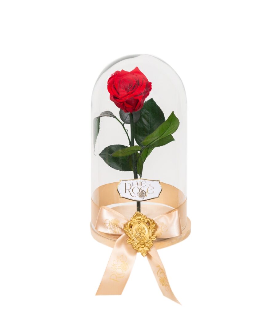 Floraria La Vie en Rose 256