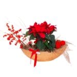 Christmas Flower Arrangement - Poinsettia's Wonderland