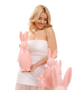 Velvet Bunny Family Blush Edition - Image 2